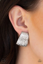 Load image into Gallery viewer, Superstar Shimmer - Silver #CO975
